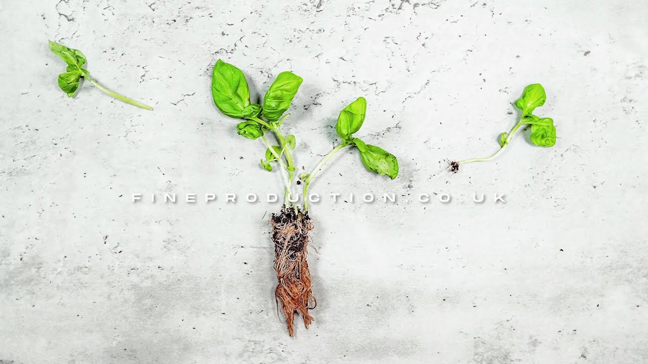 FineProduction Showreel Thumbnail