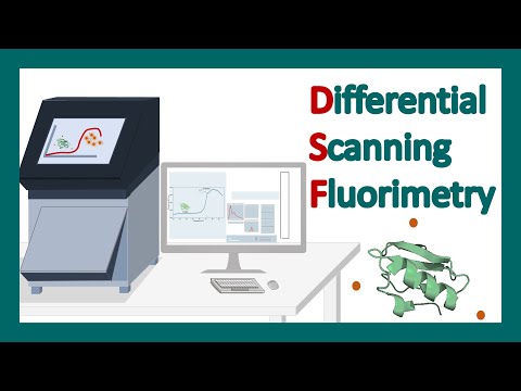Differential Scanning Fluorimetry (DSF) | DSF application | Thermal stability of protein