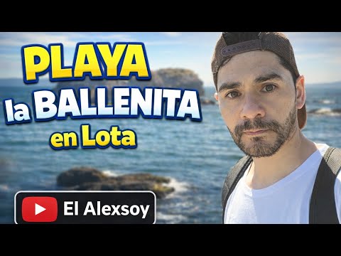 🌊Playa la Ballenita Lota📍🇨🇱 #lugareschile  #recorriendo #playachile
