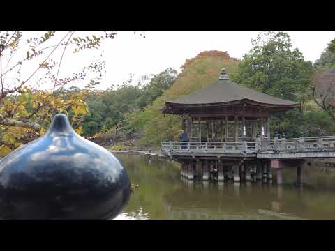 【奈良ホテル公式チャンネル】浮見堂へお散歩 2021.11/9