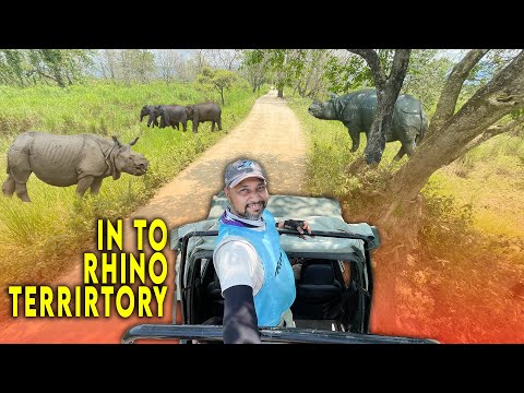 Cycling Through Rhino Land: My UNEXPECTED Safari in Kaziranga!