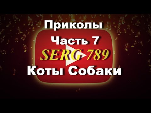 🔴 Приколы Коты Собаки (Часть 7) ✅