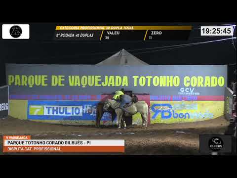 DISPUTA CATEGORIA PROFISSIONAL DA  V - VAQUEJADA PARQUE TOTONHO CORADO GILBUÉS - PI