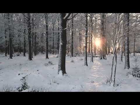 Ioan Muraru- La vremea de judecată ( Colind din Năsăud )