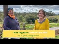 Small Scale Vegetable Farm Garden Tour 2020 Blue Dog Farm