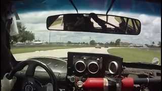 Lemons at Sebring - Paul from Terminally Confused Racing (the bees)