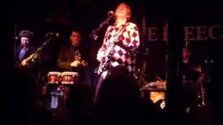 Robyn Hitchcock - Kingdom of love