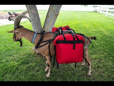 Marc Warnke Goat Gear Small Roll Top Pannier