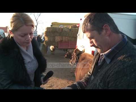 Fiks Fare, 28 Mars, Pjesa 2 - Investigative Satirical Show