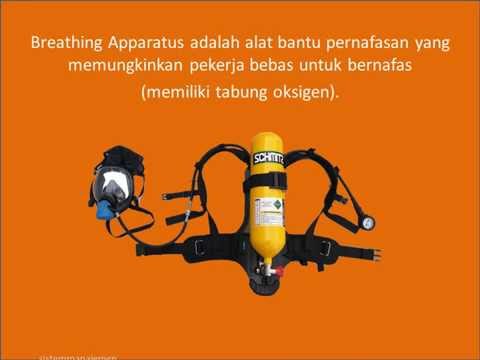Agen periklanan untuk wanita Telur mentah meningkatkan potensi