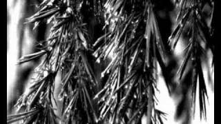 Shout Out Louds - Hard Rain