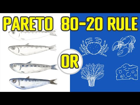 Pareto Principle - The 80-20 Rule - In-Depth Discussion