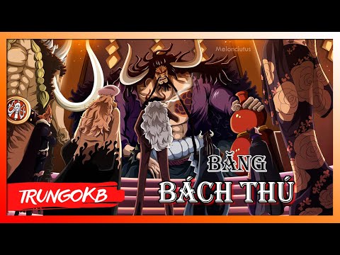 Rap Về Băng Hải Tặc Bách Thú (Onepiece) || TrungOkb