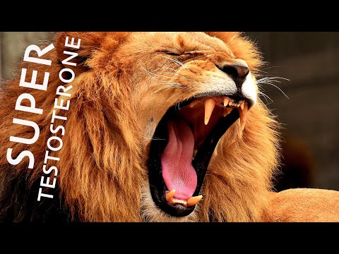 Fuel Your Masculinity Now with Super Testosterone Subliminal - Brainwaves for Potency and Charisma
