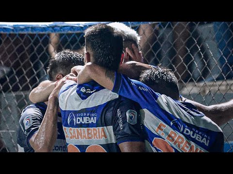 bg-highlight