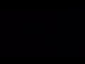 VID00024