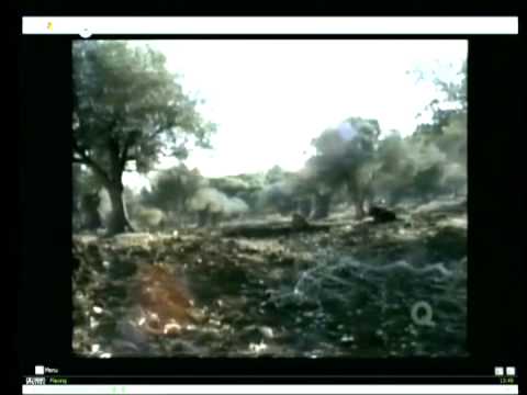 Old Testament Introduction Lecture 11B