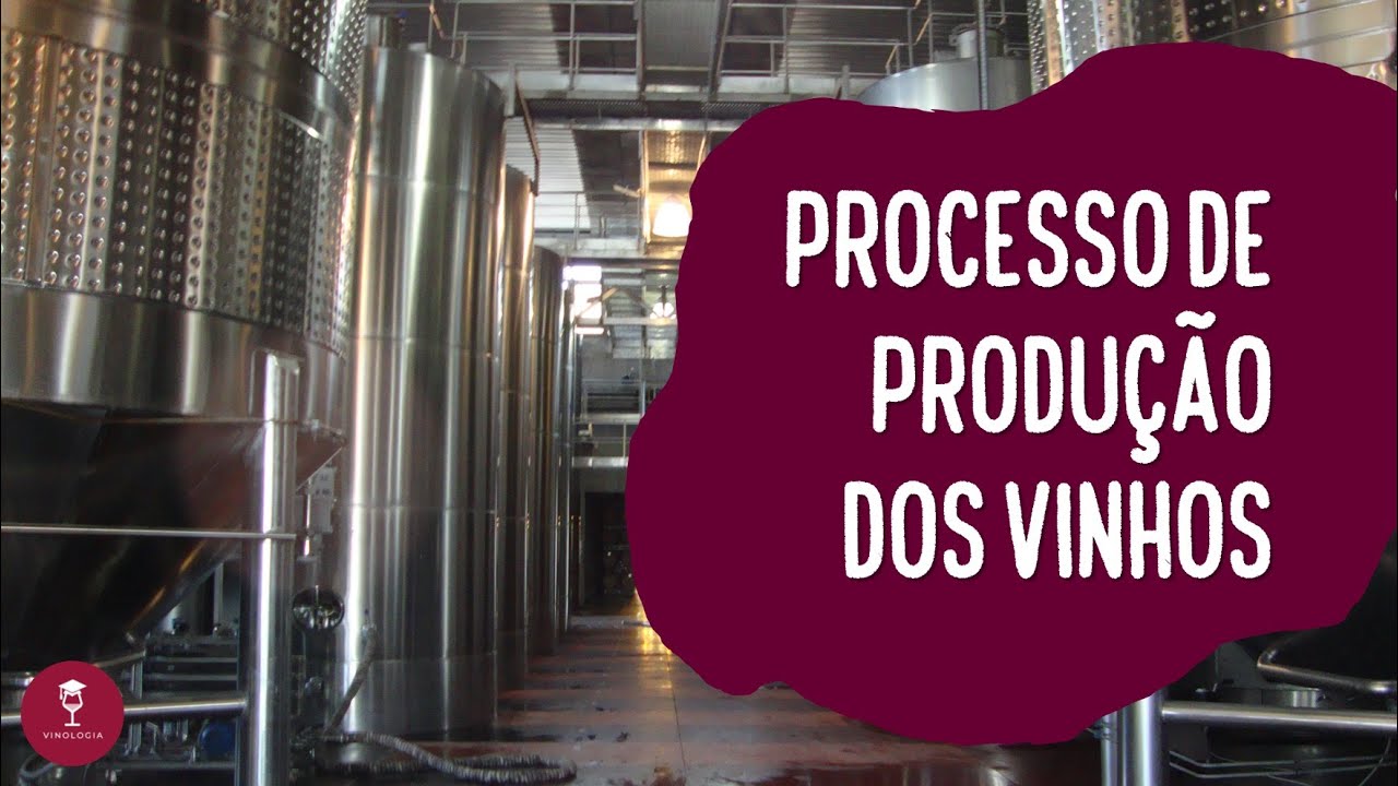 Conheça o processo de produção de vinhos