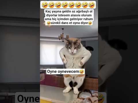🤣OYNECEM#aboneolurmusun #komikvideolar #kolbastı #cat #halaybasi