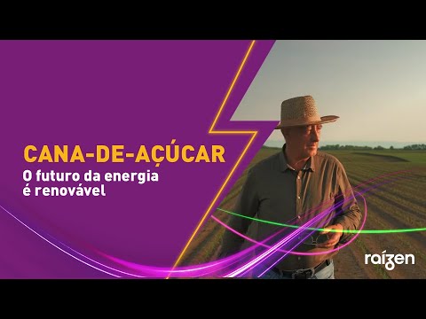Cana-de-Açúcar o futuro da energia renovável está aqui