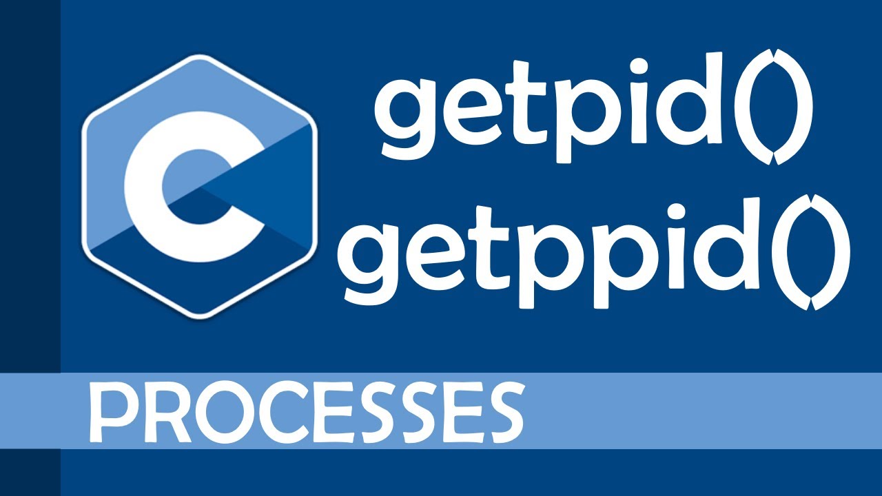 How do you find the PID of a process? CrossPointe