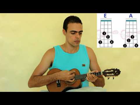 Chimi - Feli Colina