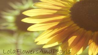 ✿Tweet - Two of Us