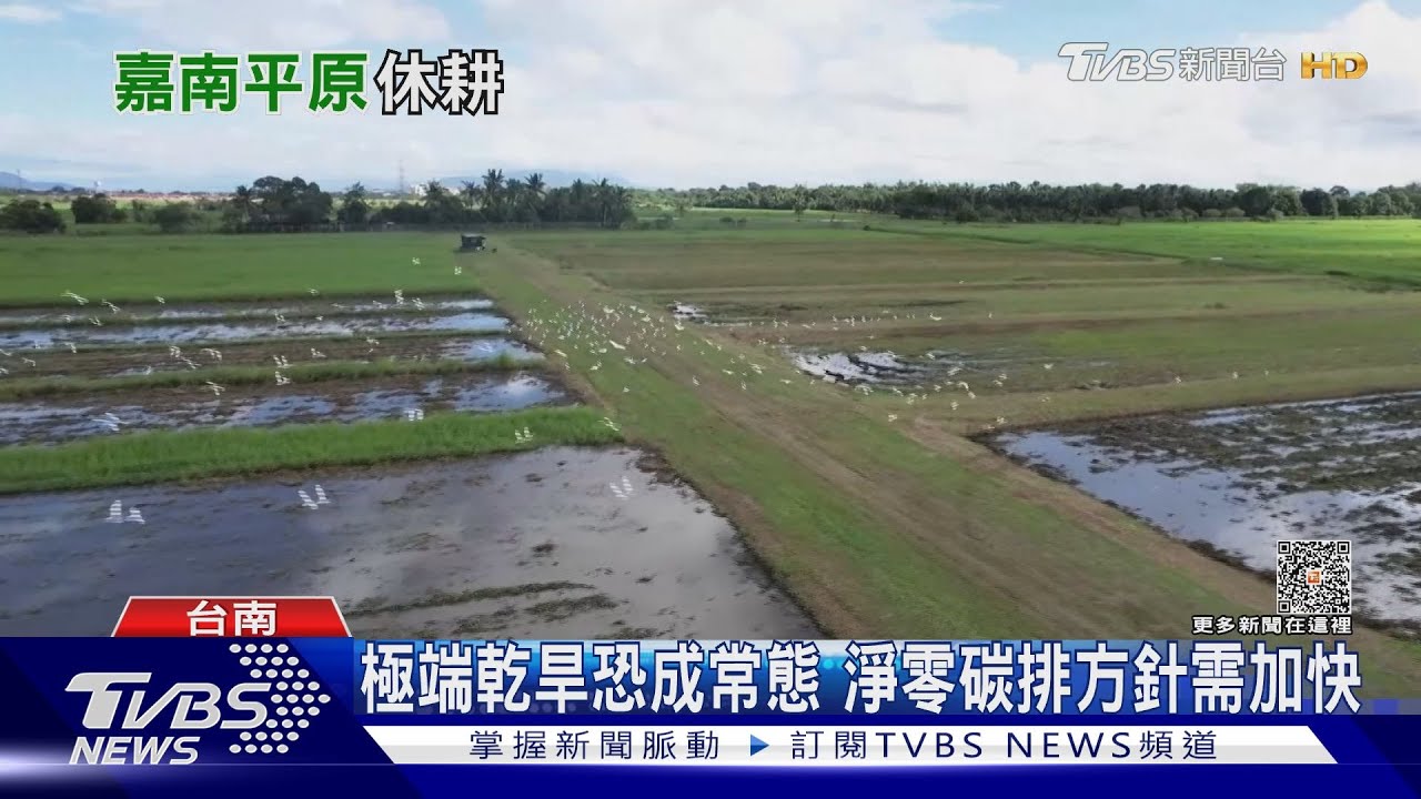 台南水情吃緊　二期稻作仍喊卡、農民慘