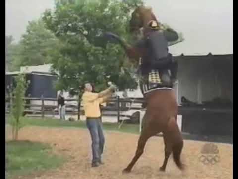 Point Given Rears Up Before The Preakness Stakes