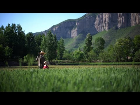 Recorriendo el campo chino: Convivencia armoniosa | Documental
