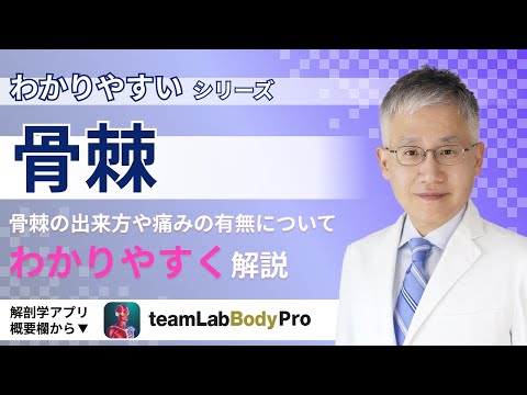 ICD-10 第 13 章: 骨関節系、筋肉および結合組織の疾患 - 定義