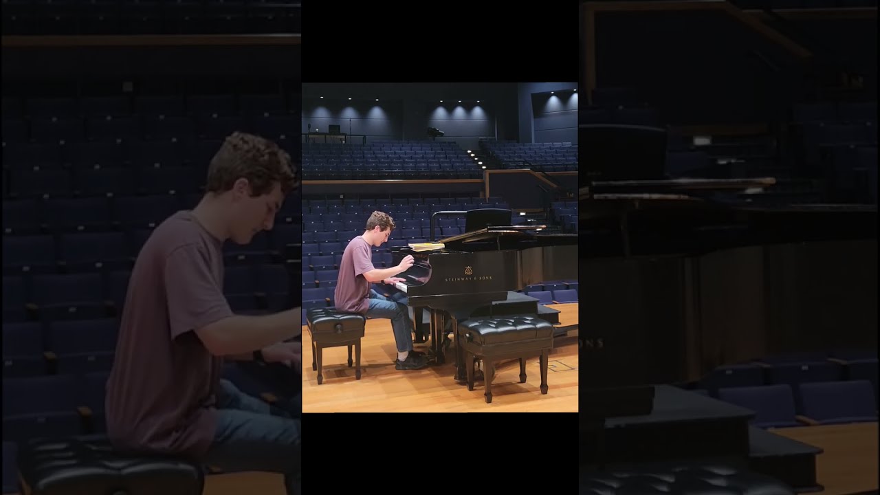 Promotional video thumbnail 3 for A Pianist for Any Need