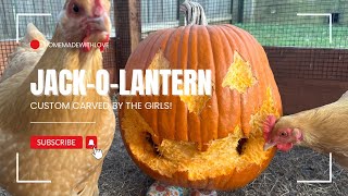 Carving A Jack-O-Lantern With The Chickens!