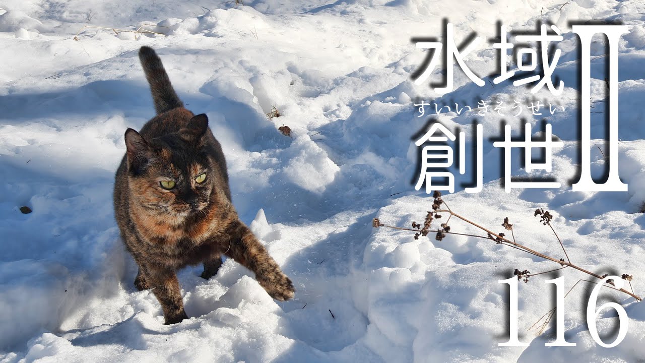 暖冬の年末ビオトープ　水域創世Ⅱ- 116【4K】