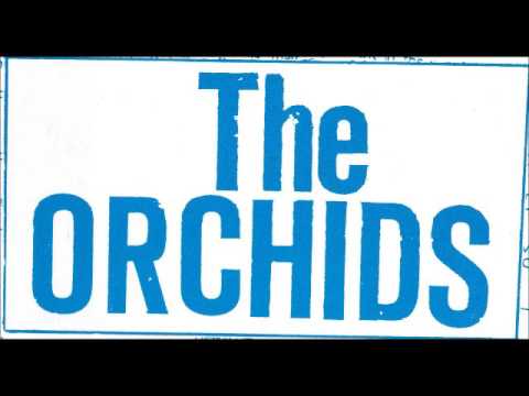 The Orchids -  It's only obvious
