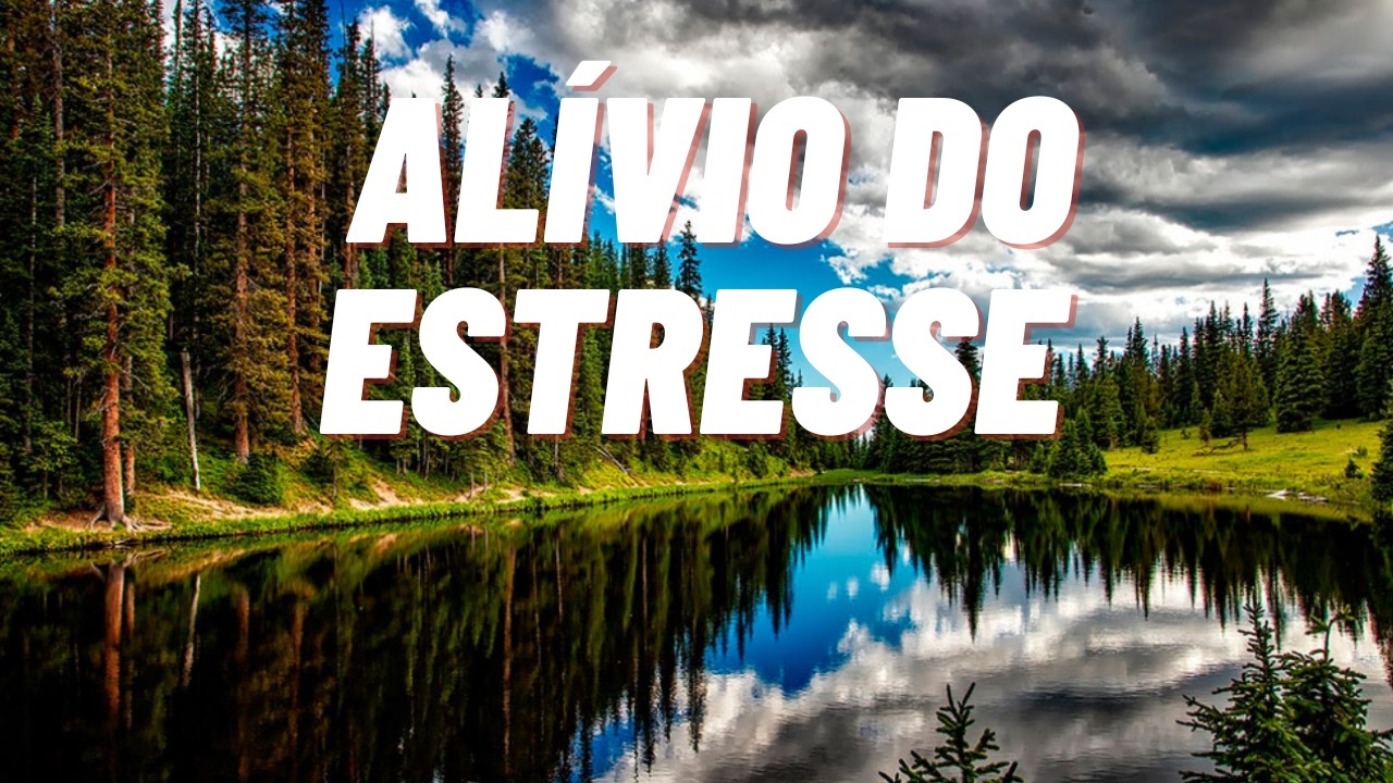 🌊 O Som da Tranquilidade para Seu Dia