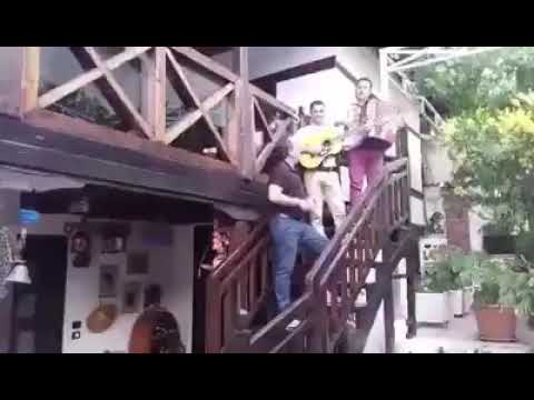 Vaske Nico - Nje zog i vogel (Serenate e Vjeter Korcare)