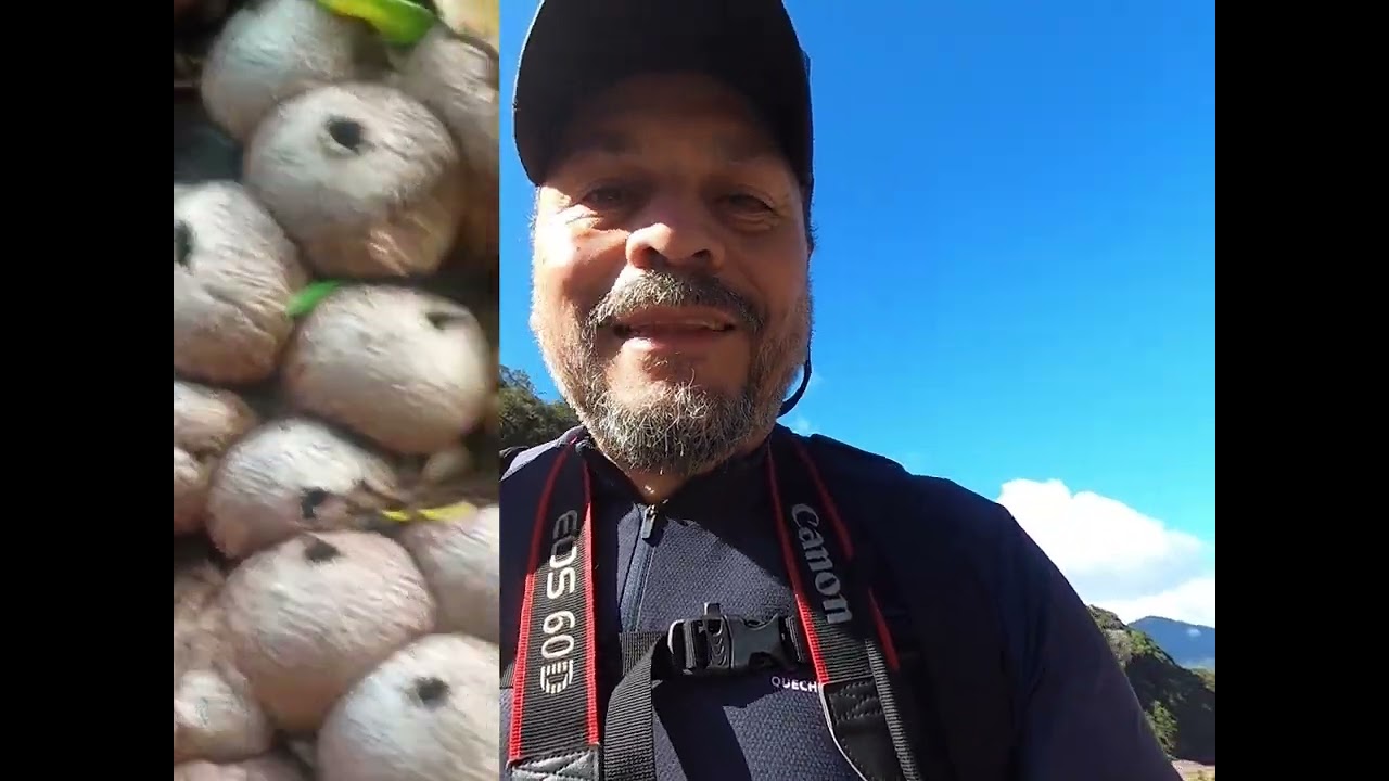 Fotografiando hongos en plena naturaleza en el Mirador Colmillos de Río Blanco