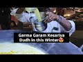 Garma Garam Kesariya Dudh In Ahmedabad Street Food India