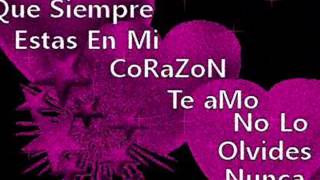 david lee garza te quiero te amo