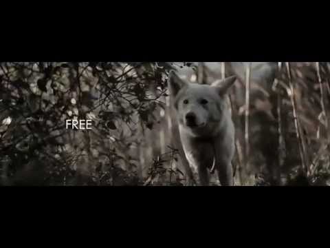 JAYMVEE - FREE (Video oficial)