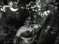 Nelavanka Thongi Status2