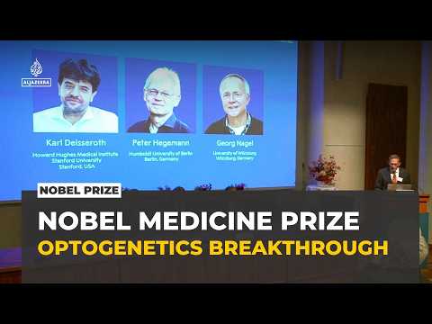 Nobel medicine prize honours three scientists for breakthrough ...