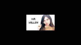 Download lagu Via vallen - Di Tinggal Rabi (sera) mp3