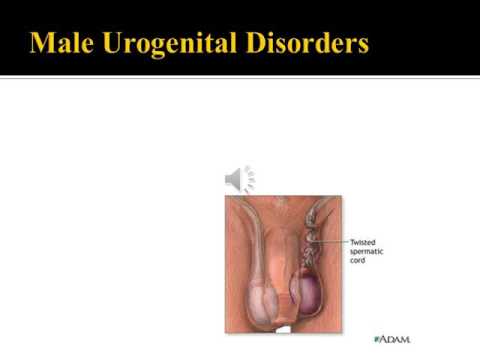 Gyertyák prosztatitis és uretritis