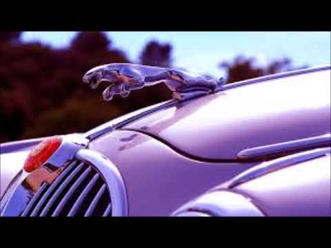 Kazo Mims - Jaguar [Prod By Miiikxy]