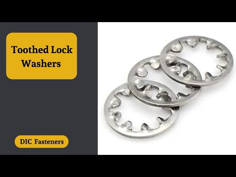 Toothed Lock Washers | DIC | Dedicated Impex Co