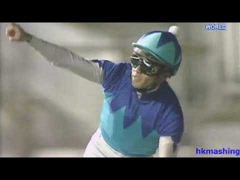 2007 Dubai Duty Free Stakes G1 - Admire Moon (賞月) - アドマイヤムーン