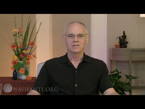 Allowing Everything To Be as It Is (Excerpt)