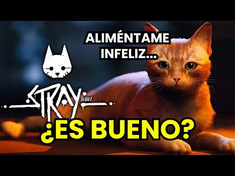 STRAY | La historia real de MISIFÚ | Reseña | Gameplay | Review | Análisis | Opinión